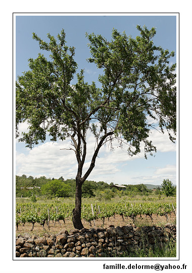 img_1879_dxo_raw-border.jpg