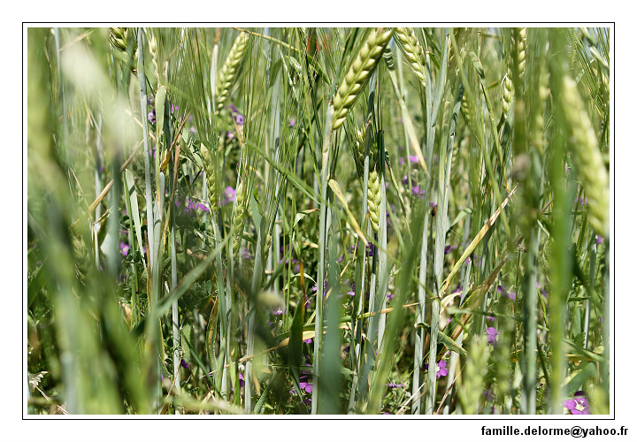 img_1882_dxo_raw-border.jpg