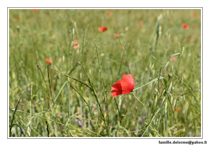 img_1884_dxo_raw-border.jpg