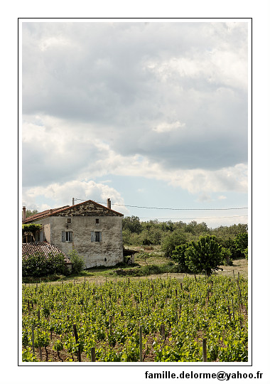 img_1898_dxo_raw-border.jpg