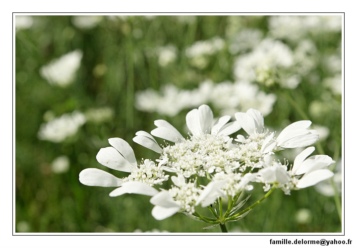 img_1899_dxo_raw-border.jpg
