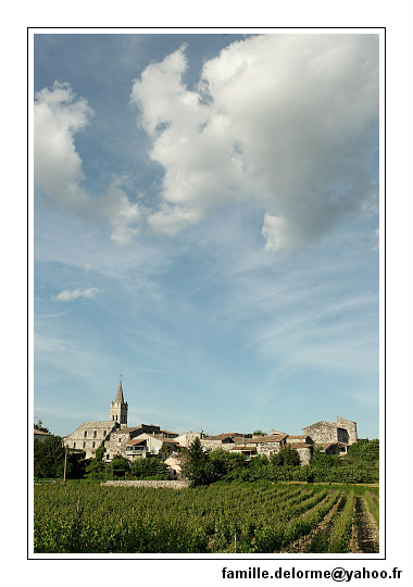 img_1996_dxo_raw-border.jpg