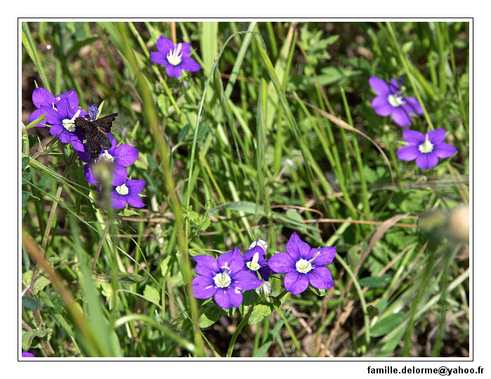 pict0021-border.jpg