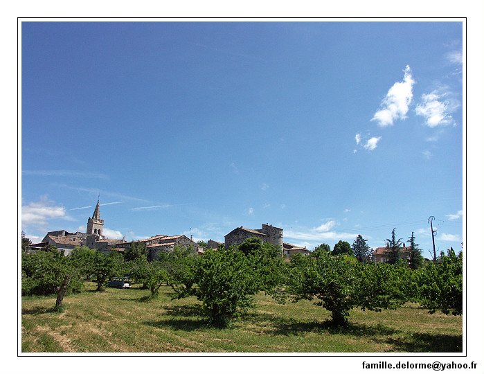 pict0041-border.jpg
