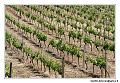 img_1871_dxo_raw-border