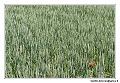 img_1877_dxo_raw-border
