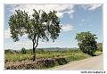 img_1878_dxo_raw-border
