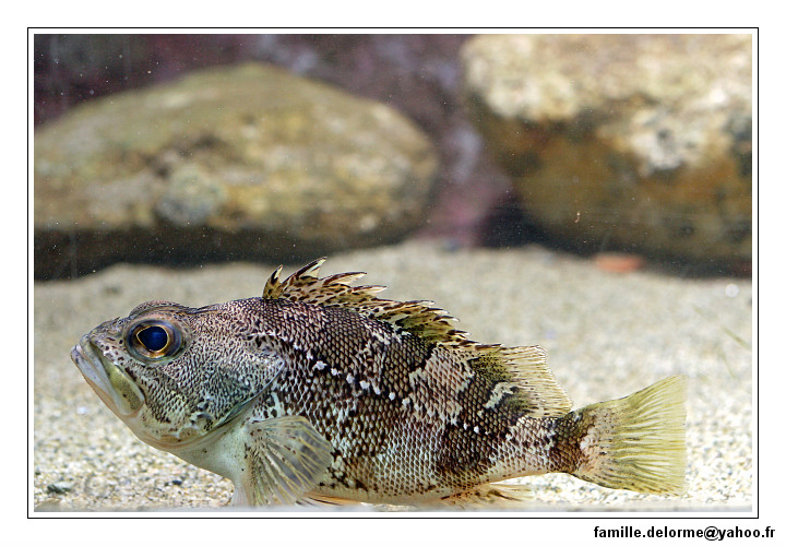 img_2257_dxo_raw-border.jpg