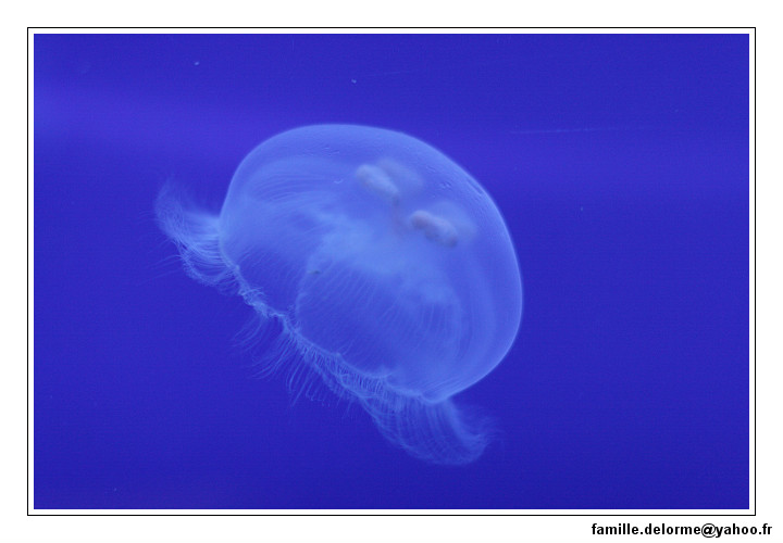img_2279_dxo_raw-border.jpg