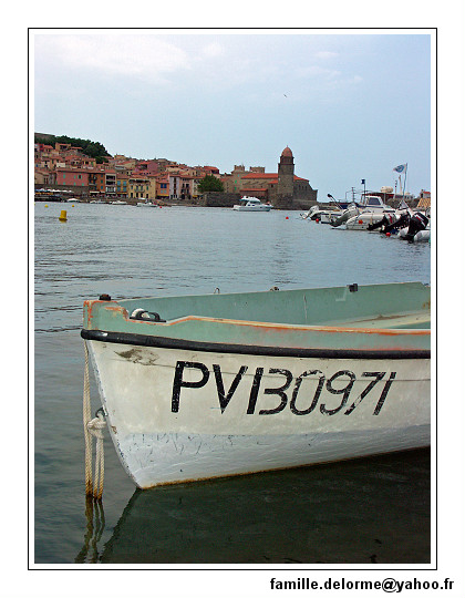 pict6219-border.jpg