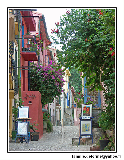 pict6234-border.jpg