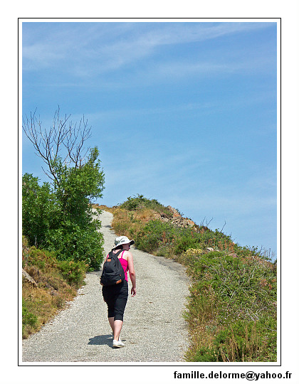 pict6164-border.jpg