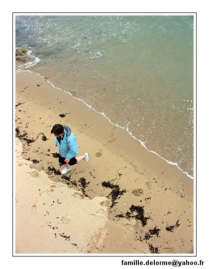 pict5761-border.jpg