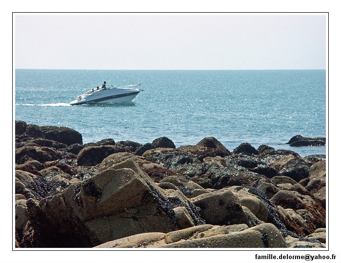 pict5843-border.jpg