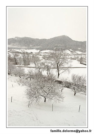 img_7725_dxo_raw-border.jpg