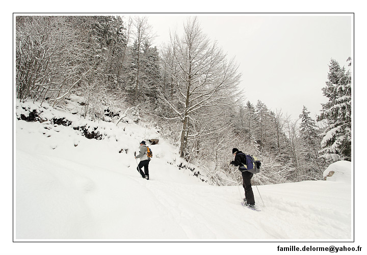 img_7732_dxo_raw-border.jpg