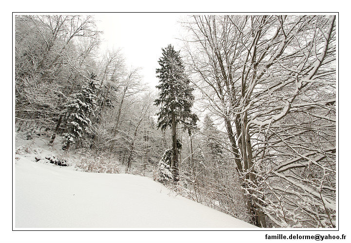 img_7735_dxo_raw-border.jpg