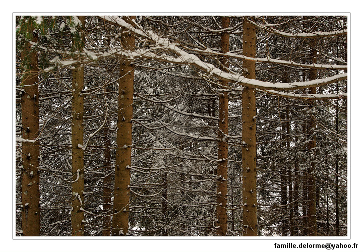 img_7751_dxo_raw-border.jpg