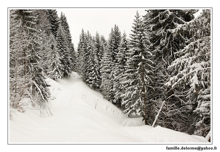 img_7758_dxo_raw-border.jpg