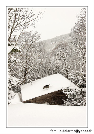img_7763_dxo_raw-border.jpg