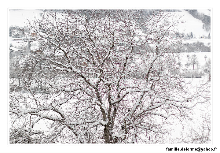 img_7766_dxo_raw-border.jpg