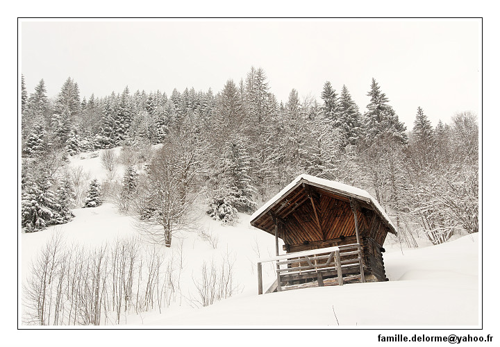 img_7771_dxo_raw-border.jpg