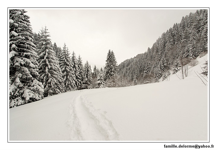 img_7772_dxo_raw-border.jpg