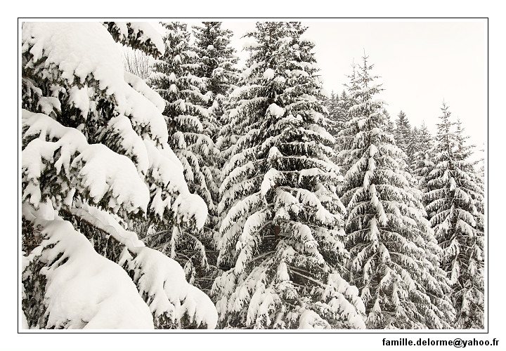 img_7773_dxo_raw-border.jpg