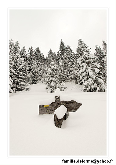 img_7775_dxo_raw-border.jpg