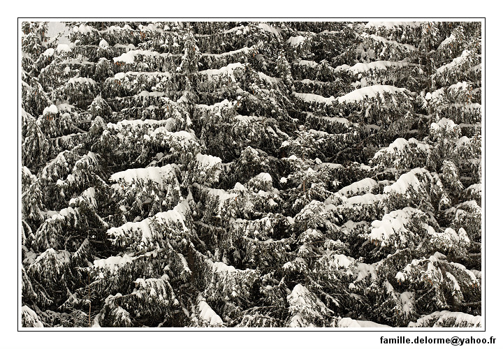 img_7781_dxo_raw-border.jpg