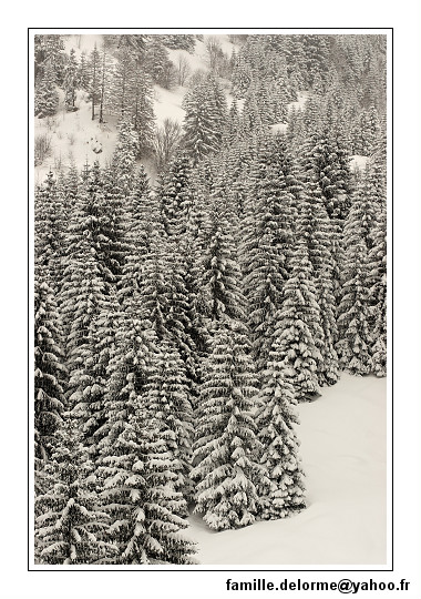 img_7782_dxo_raw-border.jpg