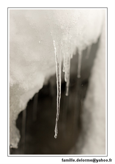 img_7783_dxo_raw-border.jpg