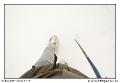 img_7729_dxo_raw-border