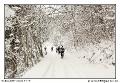 img_7733_dxo_raw-border