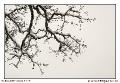 img_7762_dxo_raw-border