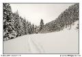 img_7772_dxo_raw-border