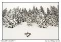 img_7774_dxo_raw-border
