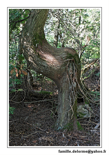 img_3231_dxo_raw-border.jpg