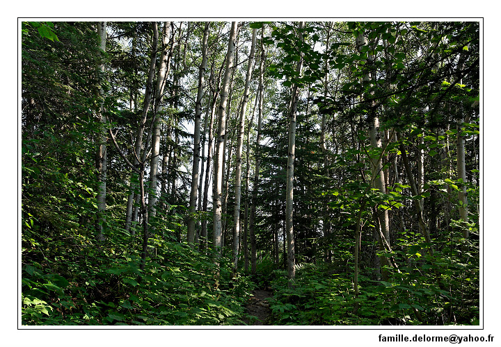 img_3240_dxo_raw-border.jpg