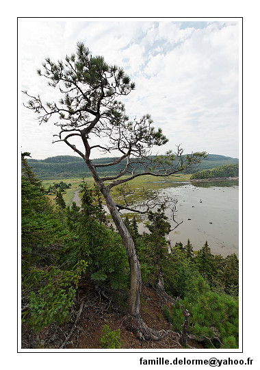 img_3250_dxo_raw-border.jpg
