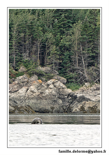 img_3258_dxo_raw-border.jpg