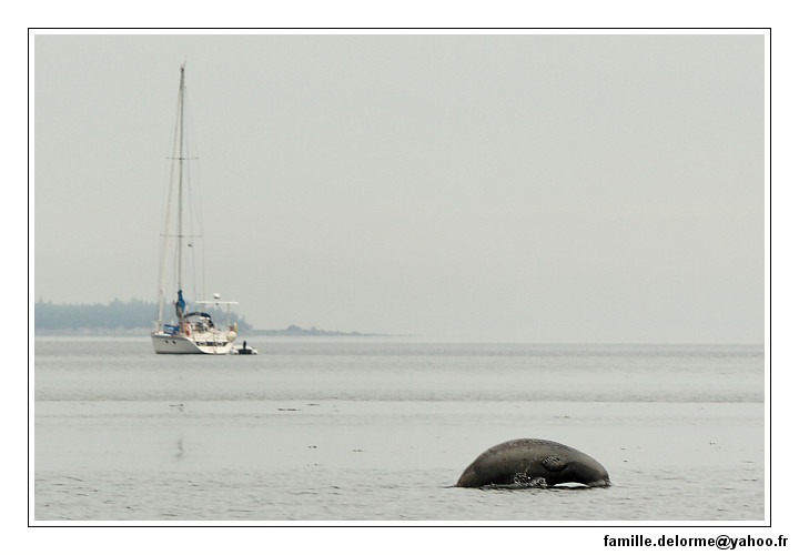 img_3265_dxo_raw-border.jpg