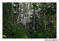 img_3240_dxo_raw-border