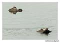 img_3252_dxo_raw-border