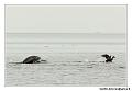 img_3262_dxo_raw-border