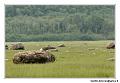 img_3268_dxo_raw-border