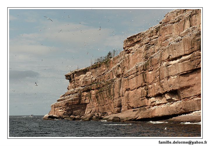 img_3439_dxo_raw-border.jpg