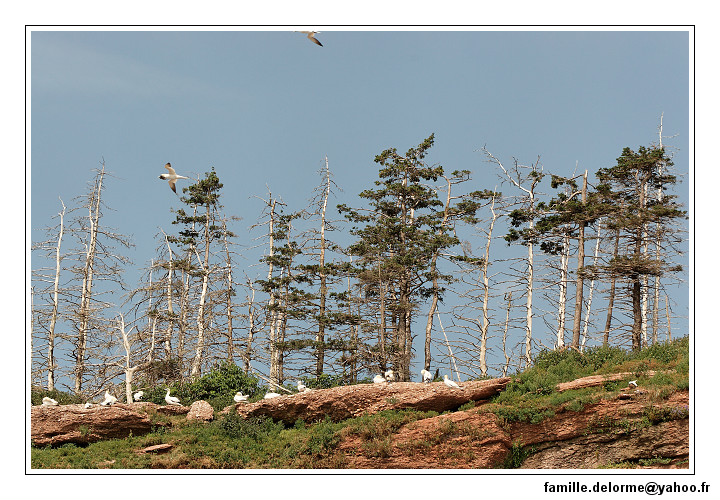 img_3447_dxo_raw-border.jpg