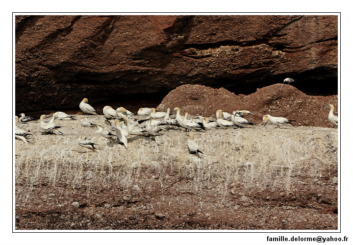 img_3448_dxo_raw-border.jpg