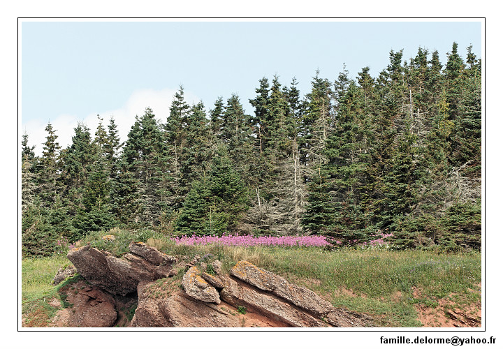 img_3463_dxo_raw-border.jpg